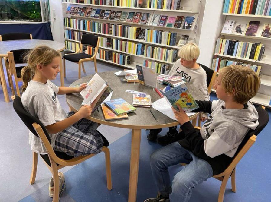 Vi give gerne introduktioner til skoleklasser - lav en aftale med os på forhånd, så er vi godt forberedte når I kommer!